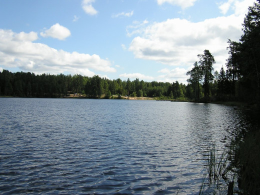 26675 (a): :1024x768